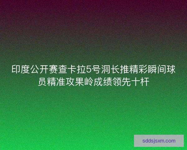 印度公开赛查卡拉5号洞长推精彩瞬间球员精准攻果岭成绩领先十杆