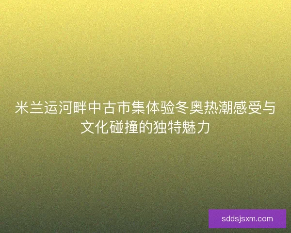米兰运河畔中古市集体验冬奥热潮感受与文化碰撞的独特魅力